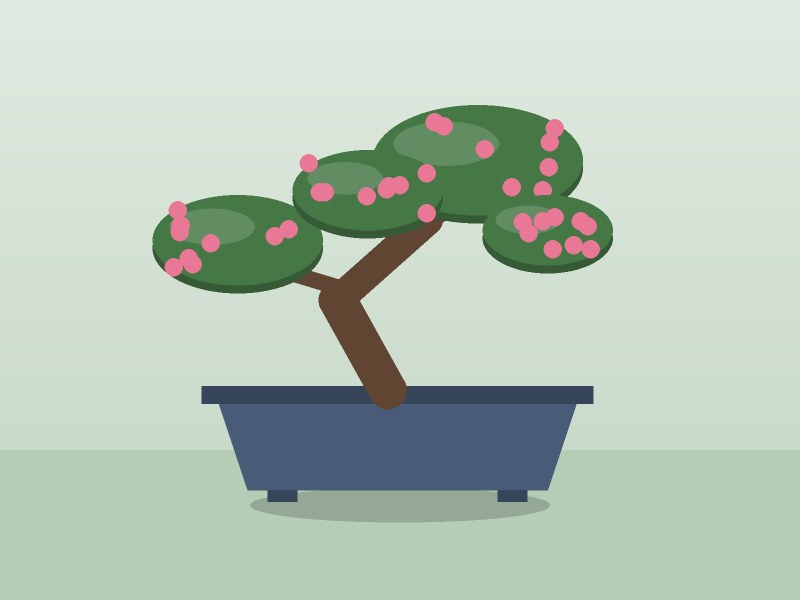 Satsuki azalea bonsai, flowering