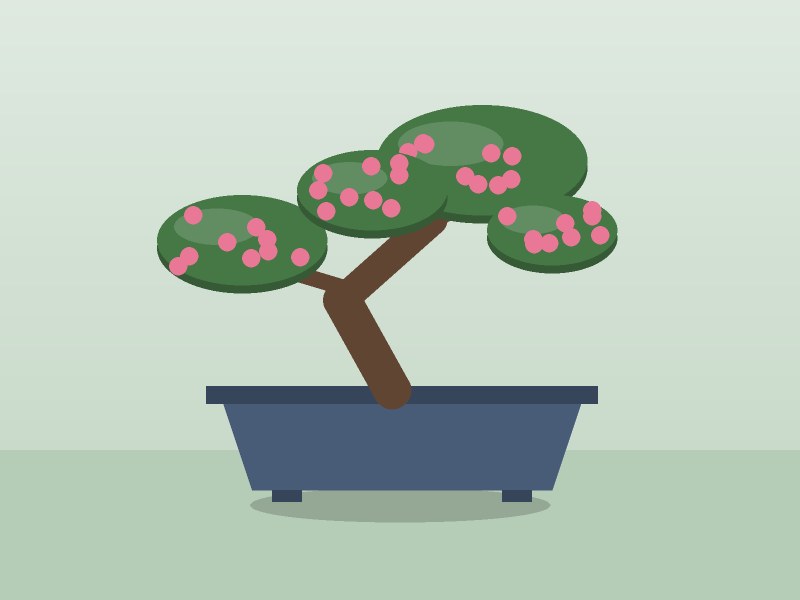 Satsuki azalea bonsai, flowering